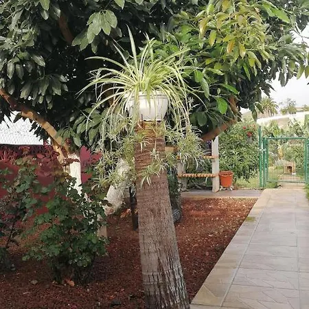 Lugares Comunes لوس رياليخوس