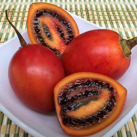 Lugares Comunes * لوس رياليخوس
