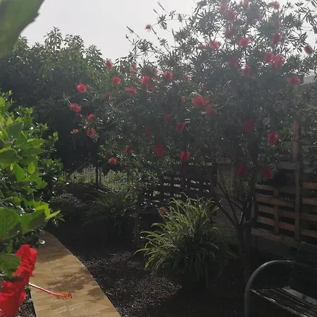 Country house Lugares Comunes Los Realejos